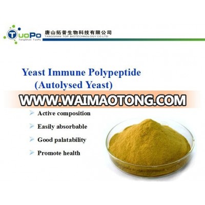 100% brewer yeast extract powder for food ingredients